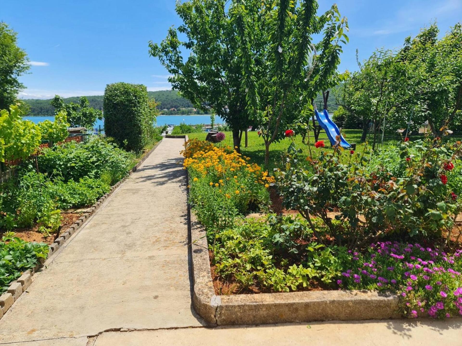 Apartman Citkovic Čižići